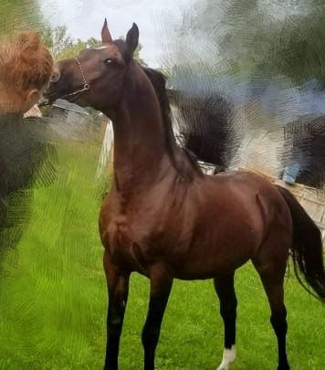 facebook_untitled_edited