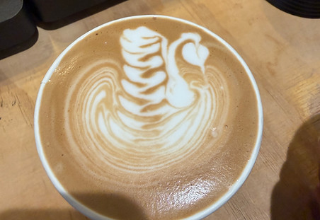 Latte art of a swan.