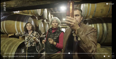 Barrique_ARTE_AU_DOMAINE_D'ESPéRANCE_MIN