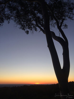 IMG_4611_Fisher's Lookout Sunset.jpg