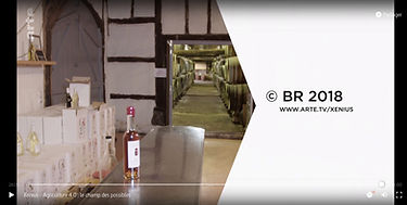 Barrique_ARTE_AU_DOMAINE_D'ESPéRANCE_MIN