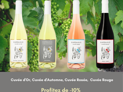 promo Vins -10%