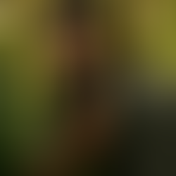 A handsome, well-groomed man, styling his beard