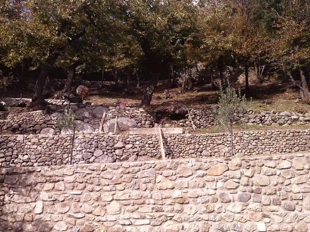 mur-en-pierres-seche-Garniac