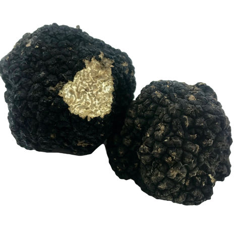 Déguster la Truffe de Bourgogne 