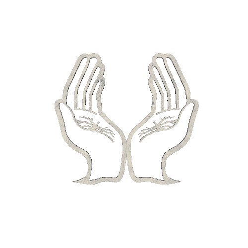 3d hands-2_2.gif