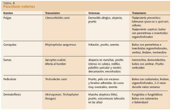 enfermedades 2.gif