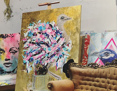studio view