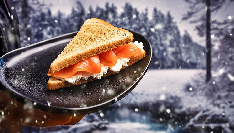 FD SANDUICHE SALMÃO E CREME 023