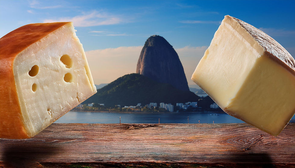 FD QUEIJO SUISSO 0002