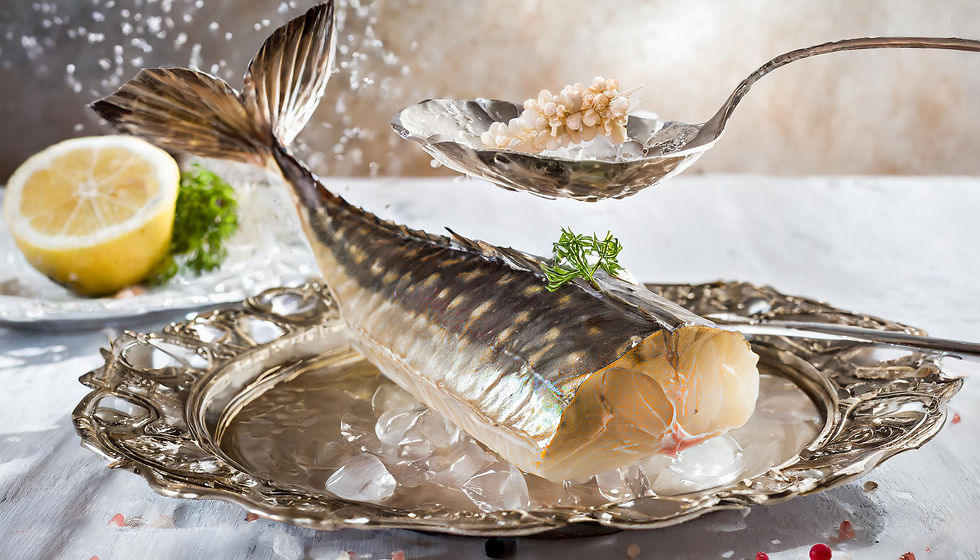 FD ESTURJÃO E OVAS 0009