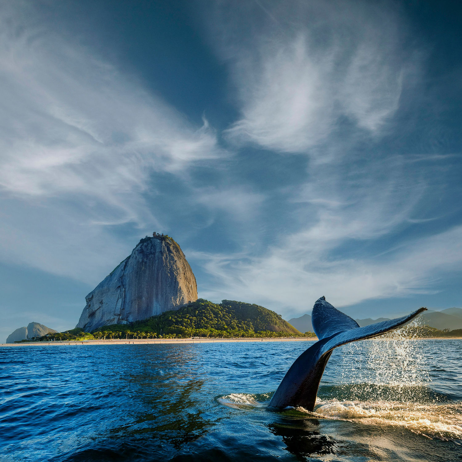 ST PÃO DE ACUCAR BALEIA 0002