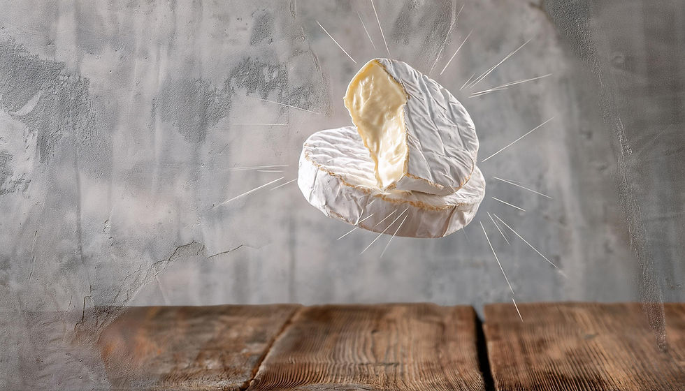 FD QUEIJO CAMEMBERT 0006