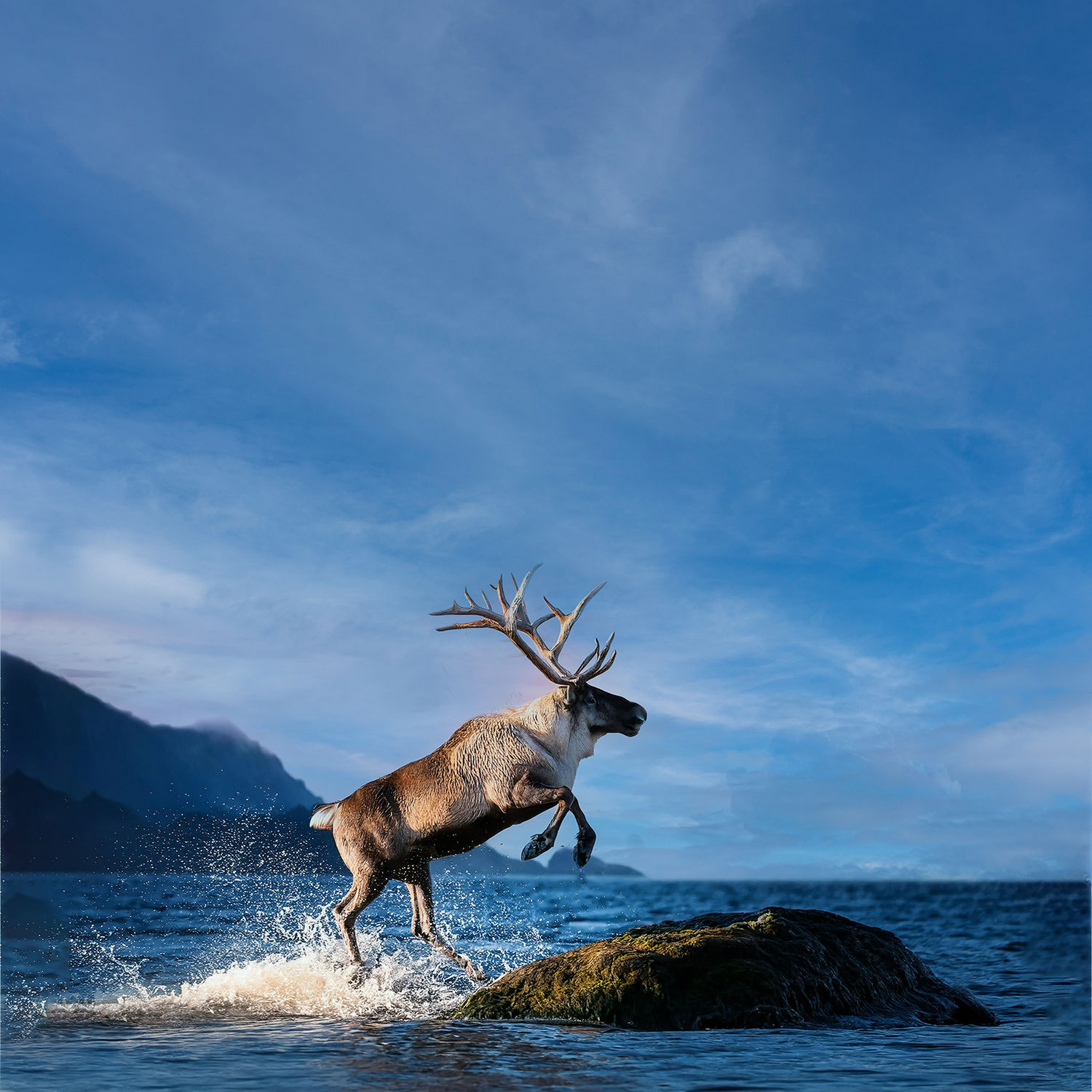 ST PÃO DE ACUCAR ALCE IRLANDES 0008