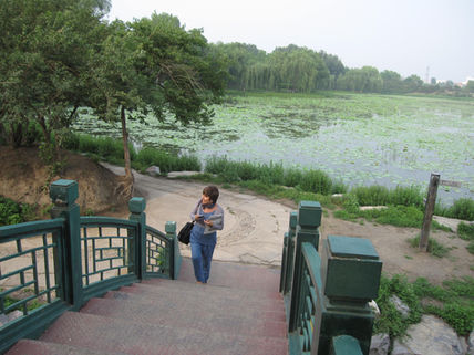Angela Pascucci: Power and Society in China