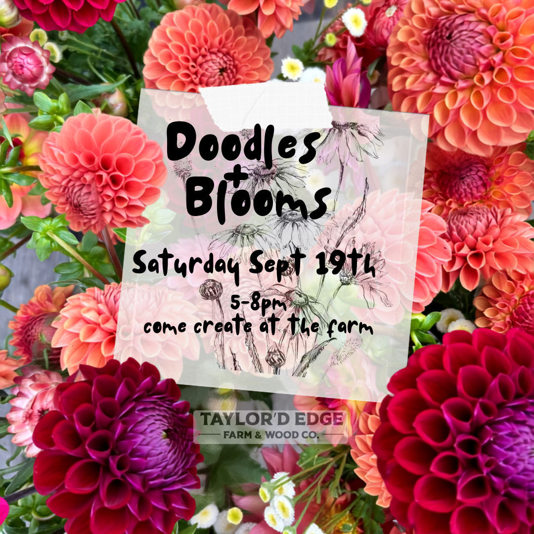 Doodles + Blooms