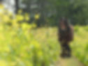 cheval