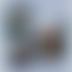 Thank you so much to everyone who attended last night’s Singo Bingo at Sage Meadows Country Club benefiting United Way of Northeast Arkansas