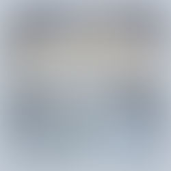  Service Spotlight: Floor Care