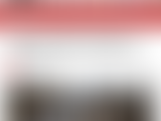 Position Statement on Language Used | 17th March 2023