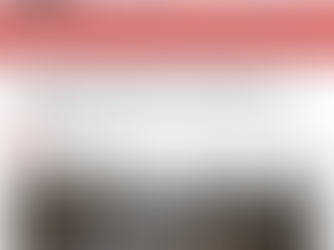 Position Statement on Language Used | 17th March 2023