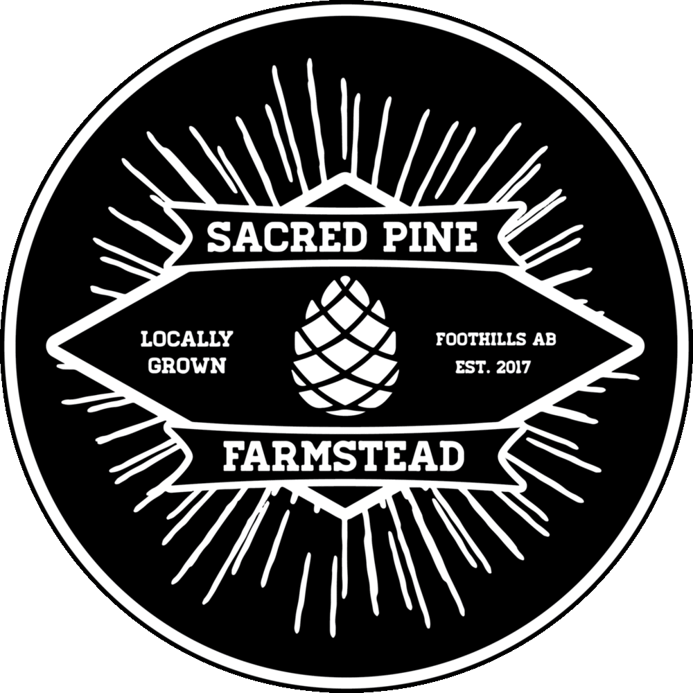 sacred pine logo gif.gif