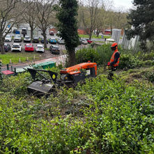 Vegetation Clearance on Steep Hospital Banks