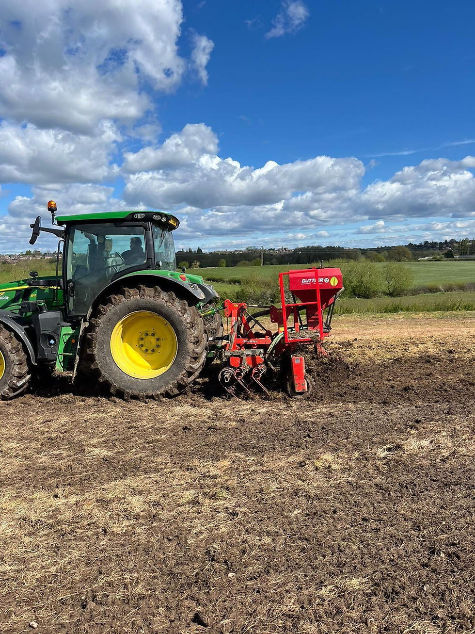 OBL Conventional Seeding 2.jpeg