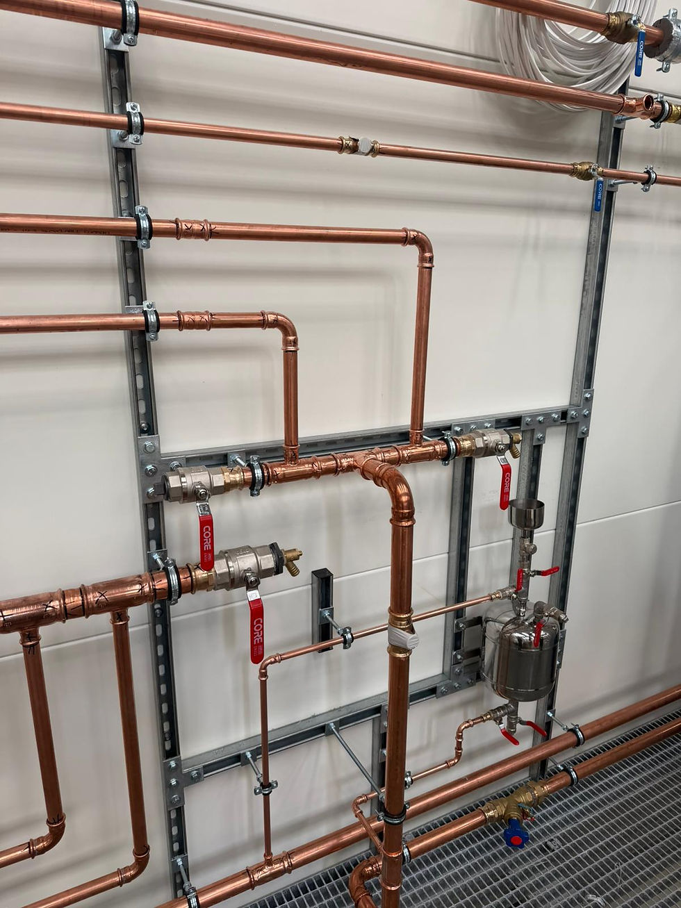 WhatsApp Image 2026-02-26 d.jpeg