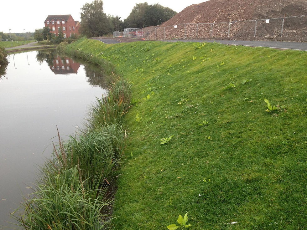 OBL Hydroseeding 4 AFTER.jpeg