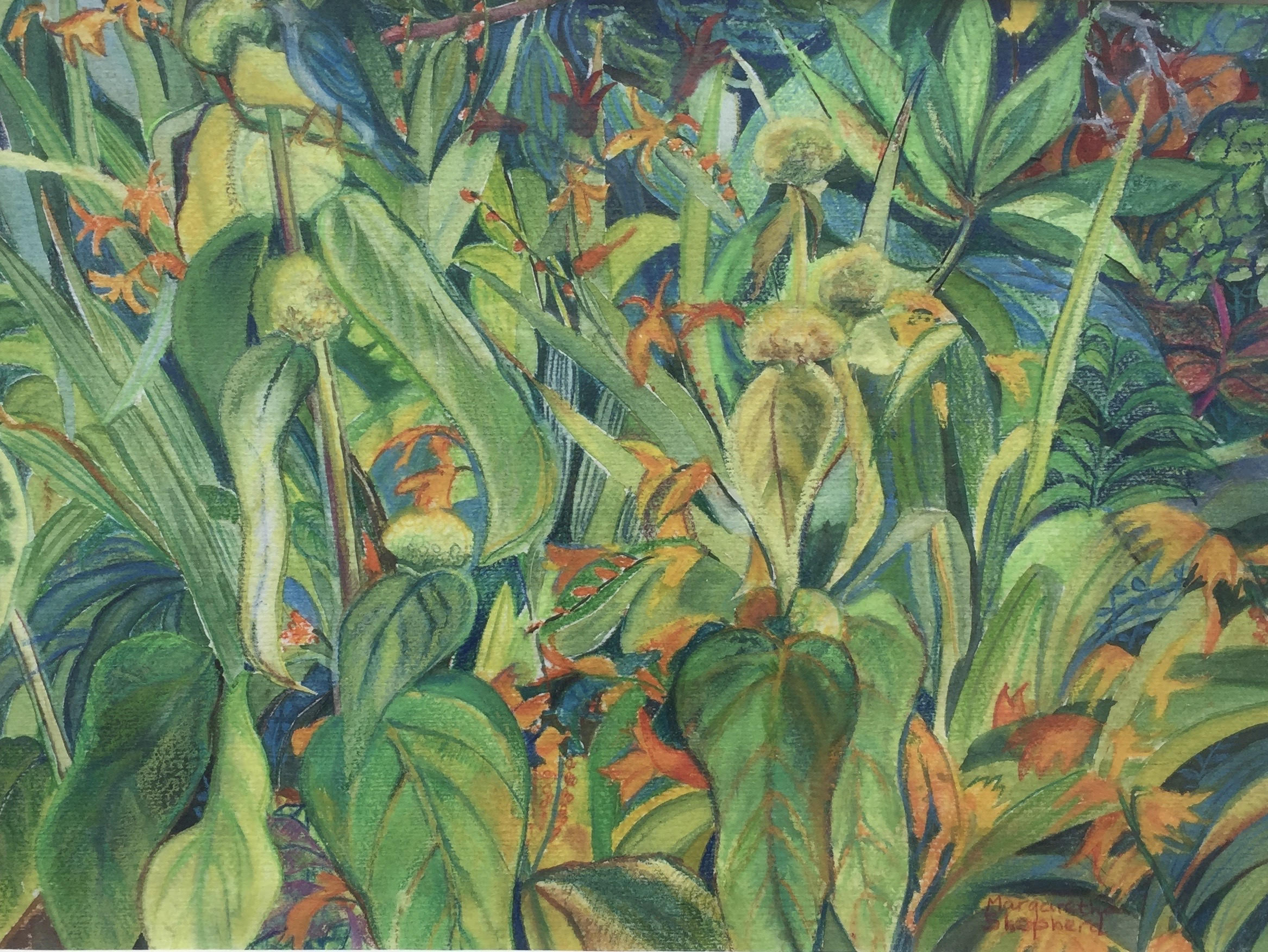 Montbretias and Phlomis - £175