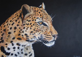 Amur Leopard - £695