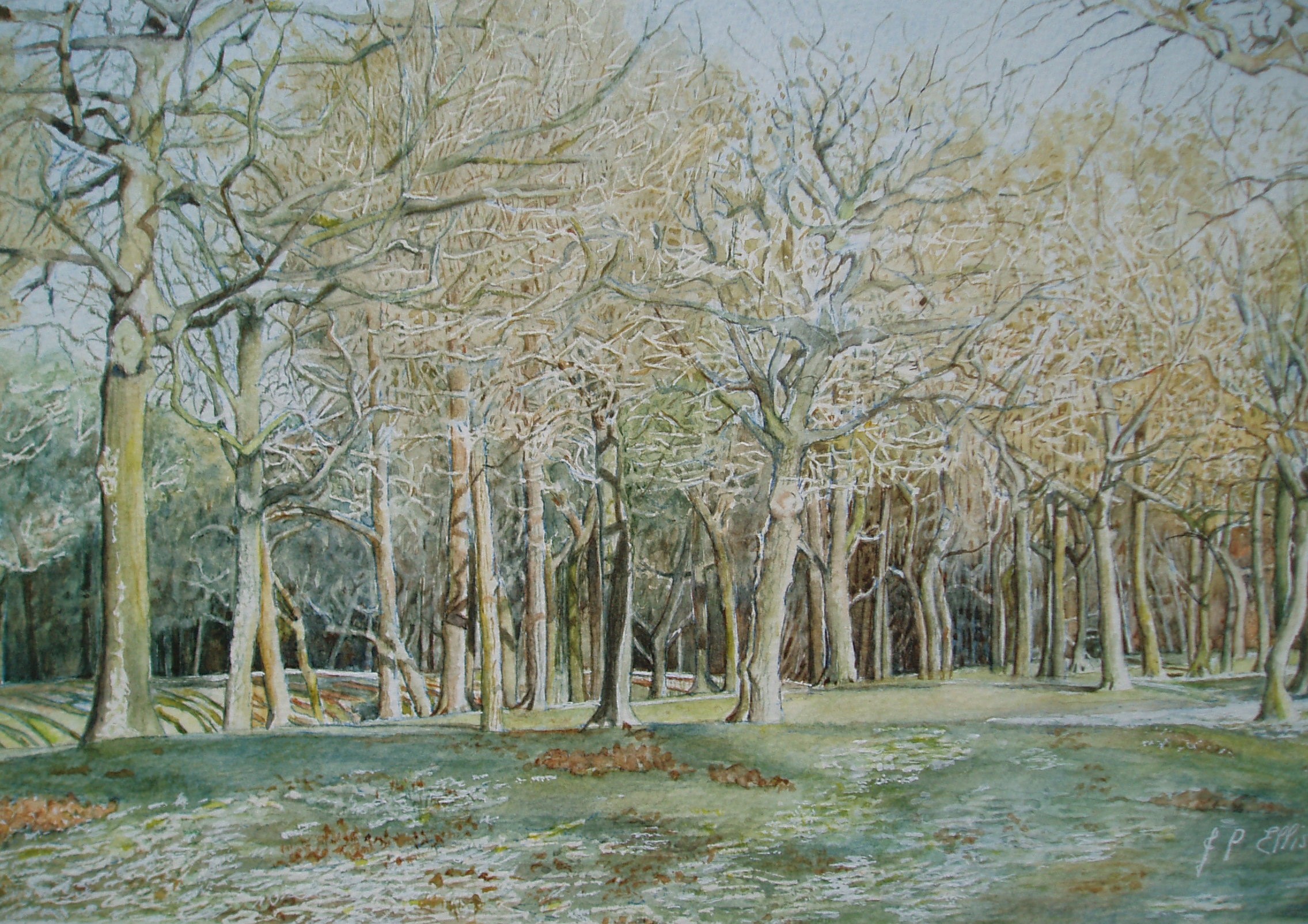 Trees in Winter - £225