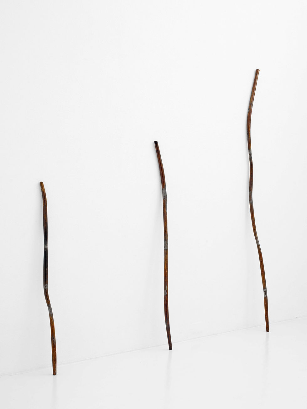 「line-1,2,3(from right)」2018