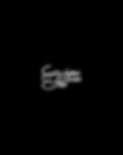Wasim zaid official logo-09.png