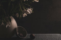 still-life nature-morte dark botanical poignant scenes