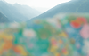 Desktop - 5 (1).png