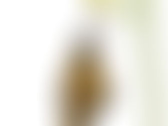 Proceso de transformación