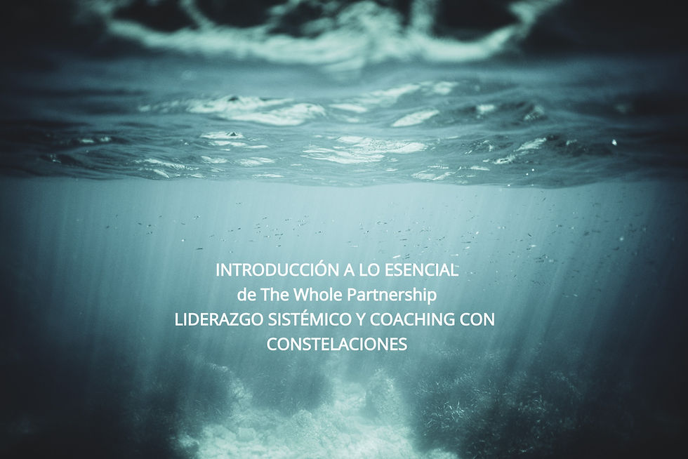 Introducción a lo Esencial