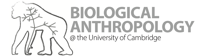 CAM BIOANTH LOGO.png