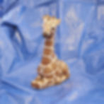 Giraffe Sm