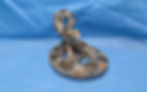 Rattle Snake