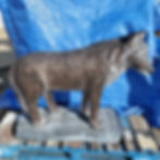 Wolf Standing