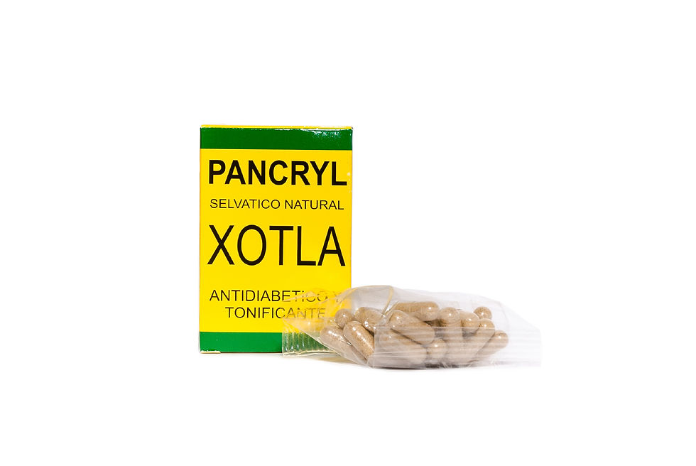 Miniatura: Pancryl xotla