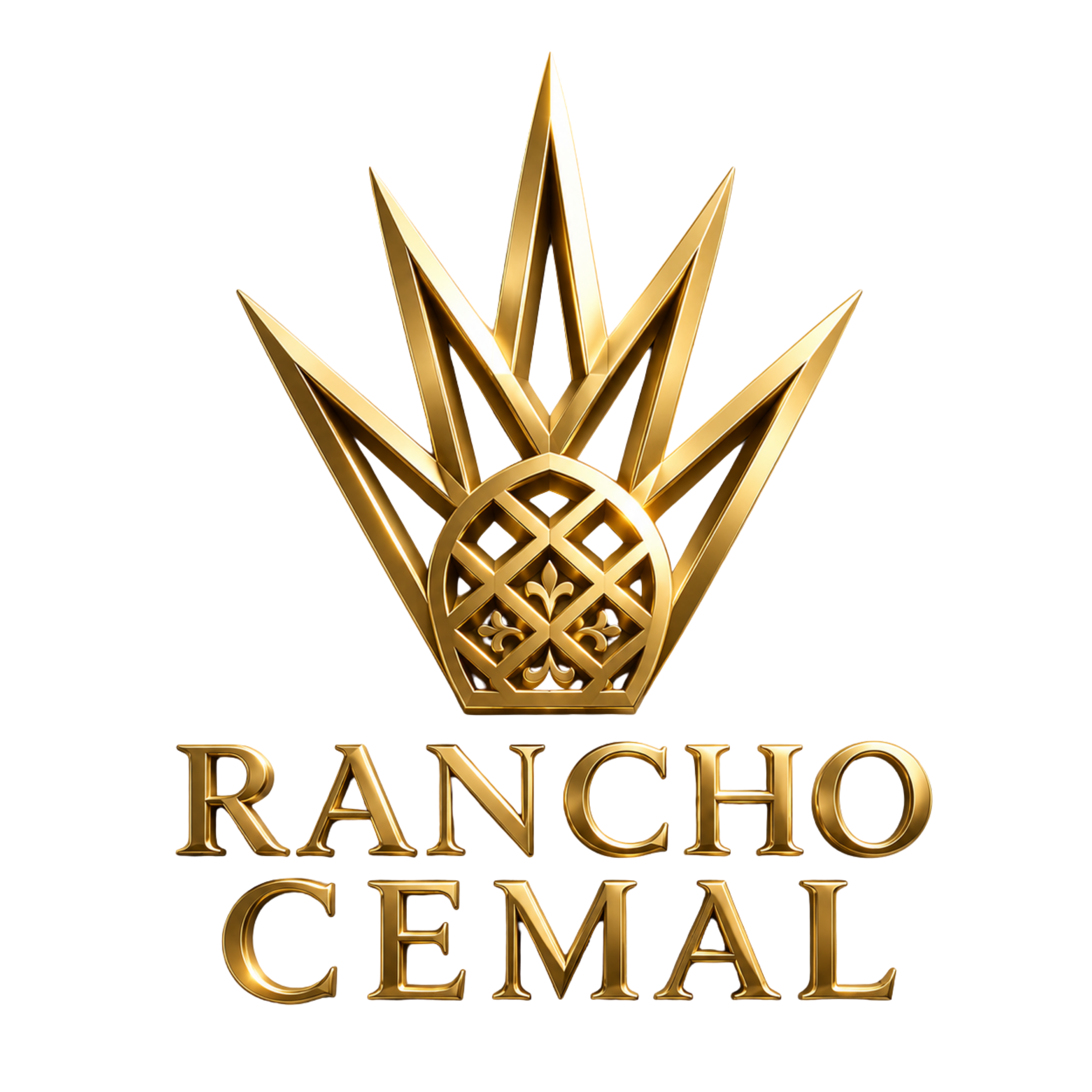 RANVHO_CEMAL.png