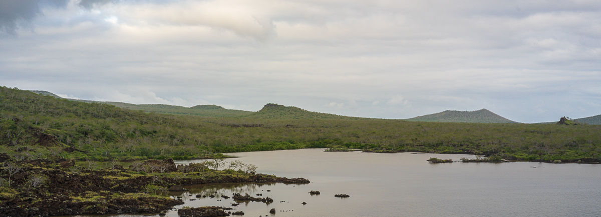 Lagune à Punta Cormorant, Floreana, aux Galápagos