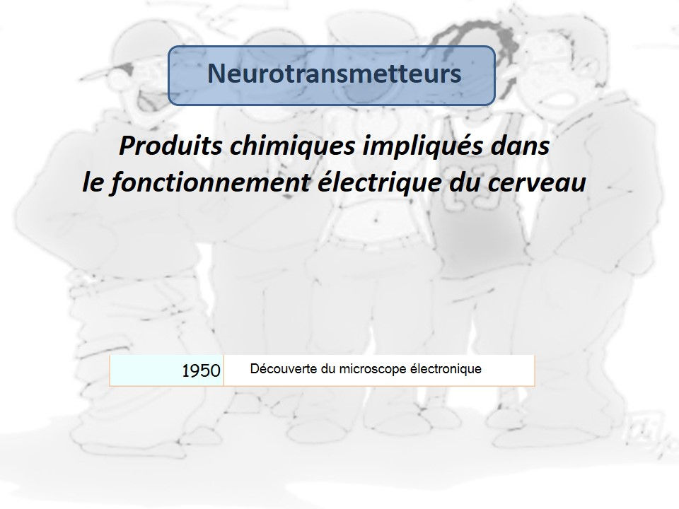Diapositive2