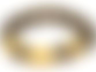 Our Bestseller Feng Shui Wealth Bracelet