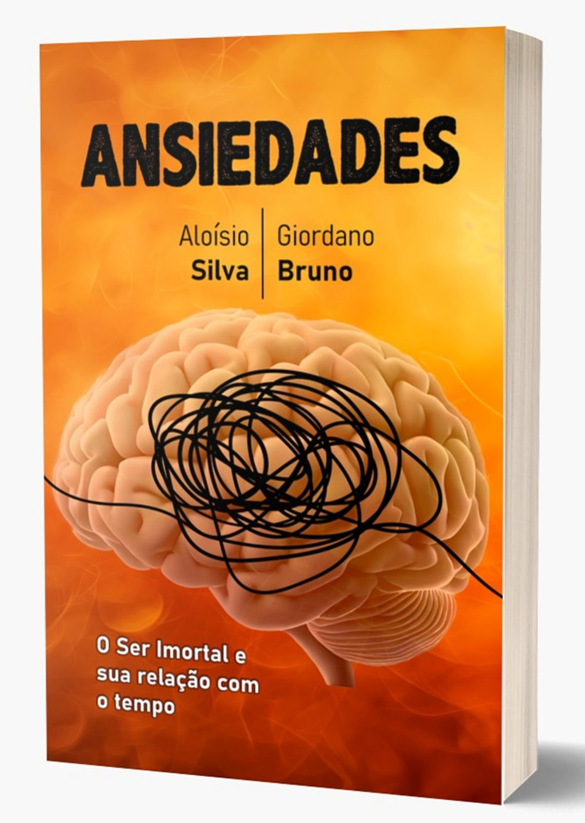 Livro ANSIEDADES - Aloisio Silva