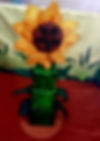 La fleur avec ses 5 graines prêtes à voyager